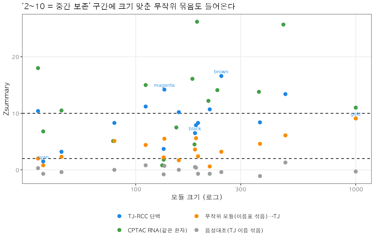 보존